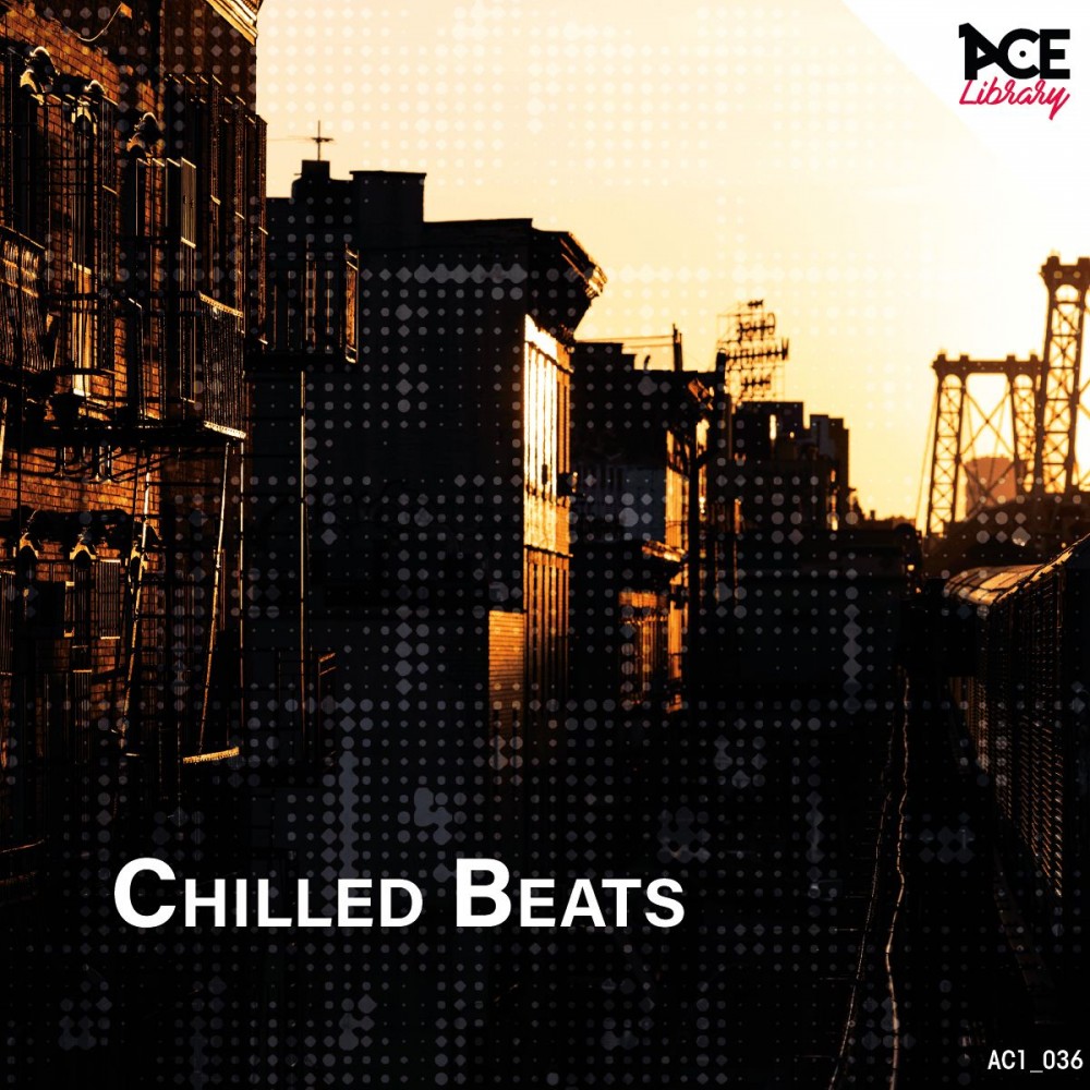 NEW ACE LIBRARY RECORD : CHILLED BEATS NEW ACE LIBRARY RECORD : CHILLED BEATS