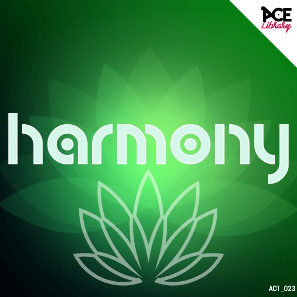 NEW ALBUM RELEASE FOR ACE LIBRARY NEW ALBUM RELEASE FOR ACE LIBRARY